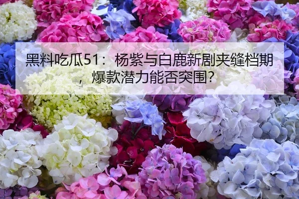 黑料吃瓜51：杨紫与白鹿新剧夹缝档期，爆款潜力能否突围？